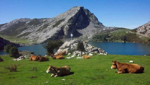 APARTAMENTOS CASA FREDI - Las LLaceries - Foto 2