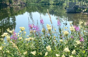 Harzpur Lodge - Pure Entspannung in purer Natur - Foto 76