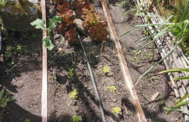 Casinha da Horta com Jacuzzi - Foto 31