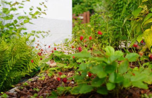 Happywild - Foto 50