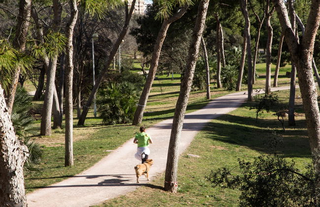 Pio XII Apartments - Foto 11