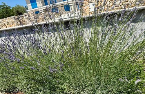 M Plus Residence - Photo 71