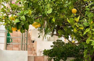 Bella Vista - Foto 52