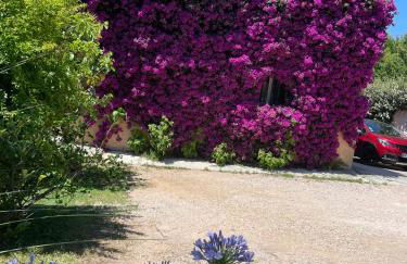 Les deux mas - Foto 52