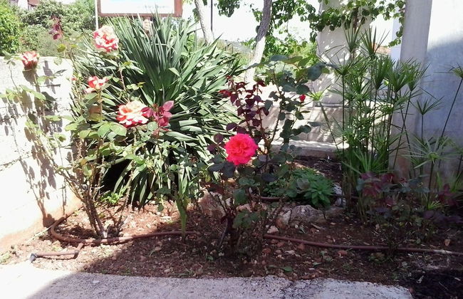 Antique Apartment With Balcony - Foto 28