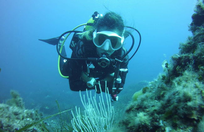 Bautismo de buceo en Puerto Addaya - Foto 2