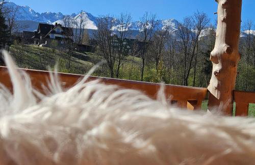 Góralska Chatka 2 Highland Cottage - Split AC, Jacuzzi, Sauna, Private parking, Mountains View, Garden, Zakopane - Photo 14