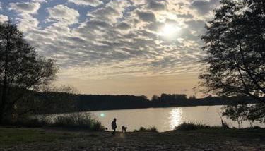 Ferienbungalow Arne am Wald - Foto 3