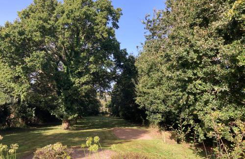 Villa Ty Loin vue mer 5 personnes - Foto 15