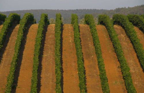 Piccolo Borgo Toscano relax - Foto 28