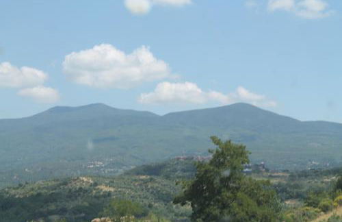 Casa nel bosco alle Macinaie - Foto 3