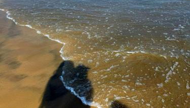 Casa-Itanhaém - Photo 4