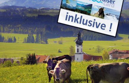 Urheim Rose - Dogfriendly - Foto 1