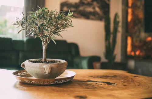 Private Spa & Garden Alpi - Foto 7