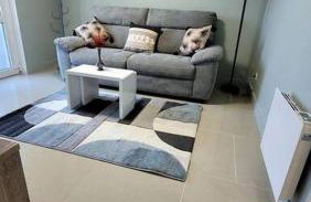 Appart 2 chambres avec extérieur - Photo 6