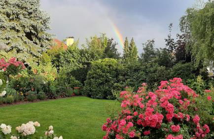 Ferienwohnung Bauchert - Foto 13