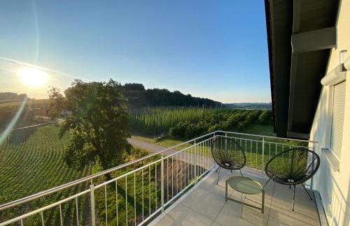 Ferienwohnung Hopfenblick Dachterasse 3SZ Bodenseeregion - Foto 3