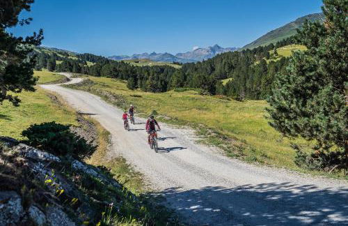 Apartamentos Deth Camin Reiau - Photo 53