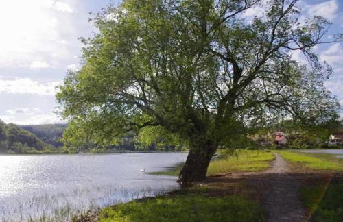 Ferienhaus in Obernburg am Edersee - Foto 61