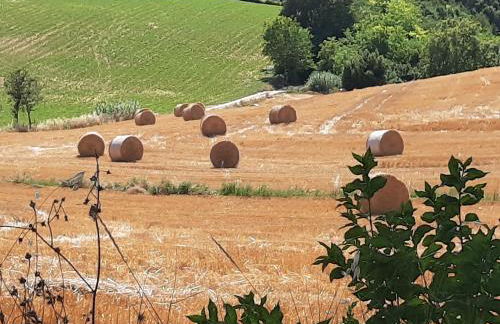 Villa Pacchini Wellness & Relax Retreat - Foto 47