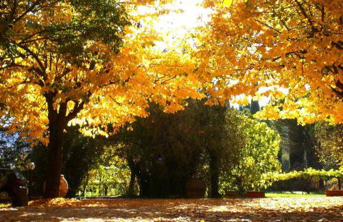 Agriturismo Valle degli Arci - Foto 40