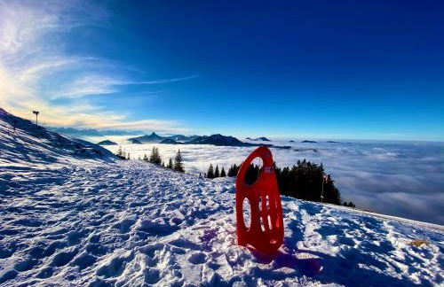 Hofwies-Exklusiv - Privates Luxus-Boutique Ferienhaus 8 Pax - Foto 46