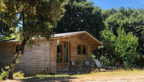 Ma petite cabane Gites des oliviers - Photo 5