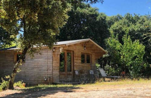 Ma petite cabane Gites des oliviers - Foto 5