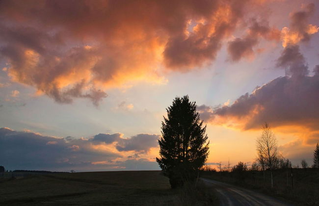 The House to Stay in Hasselfelde - Foto 12