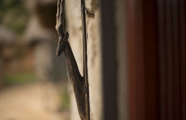 Nyati Hill Cottages - Foto 33