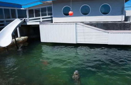 Pacific Seaside House by Pebble Beach & Redwoods - Foto 37