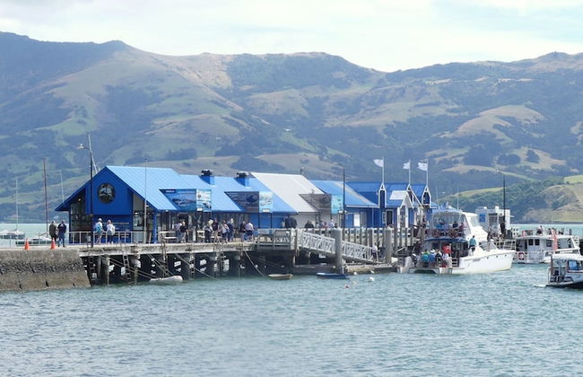 Akaroa Vista - Foto 18