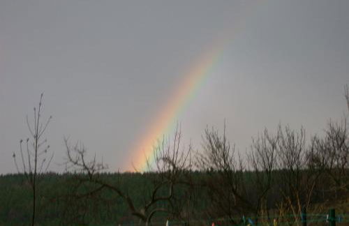 No.5 - Ferienwohnung Schkade - Foto 31