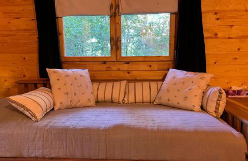 Ackermannia - Foto 64