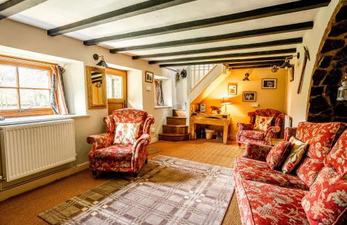 The Wilderness - Foto 6