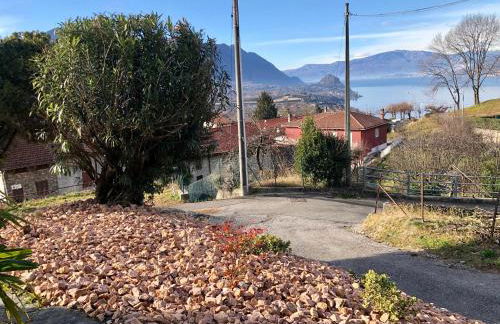 Bellavista - Photo 20