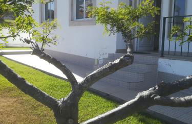 Camarção Violante - Foto 27