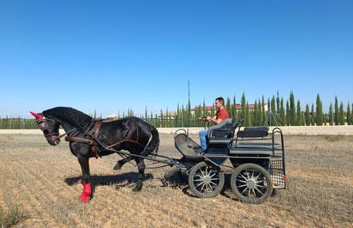La Cuesta Blanca - Foto 41
