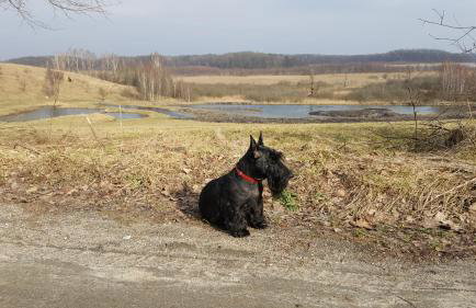 Wyskok 1 - dom z widokiem - Foto 39