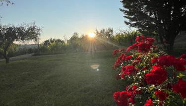 Appartamento Mansarda nel verde - Foto 4, Garden
