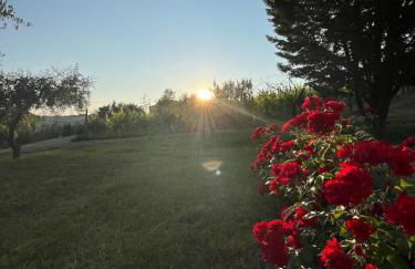 Appartamento Mansarda nel verde - Foto 4