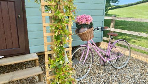 Little Bo Peep - Foto 5, Garden