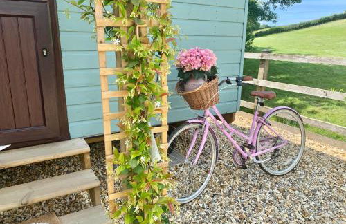 Little Bo Peep - Foto 5