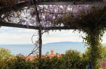 Kvarner Vista Apartment Hana - Foto 1