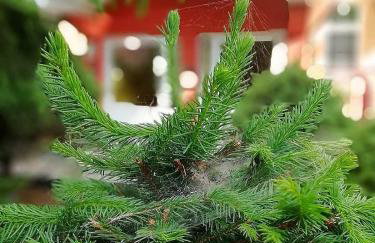 Apartament Fabryka Endorfin Kłodzko - Foto 39