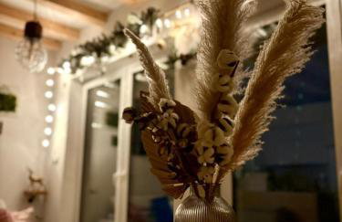 Chatka Mechatka - Foto 11