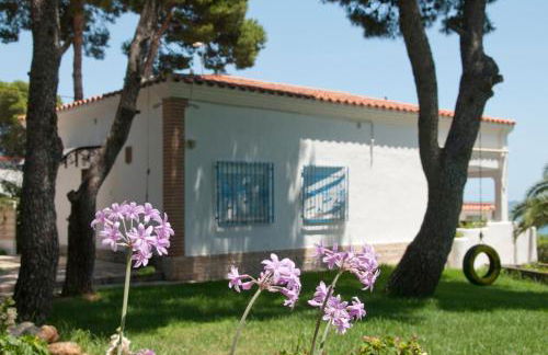 Sargantana Blava - Foto 63