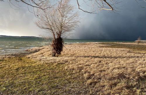 Les Cottages d'Orient Gite Boutique - Foto 26