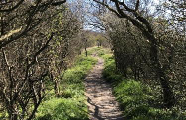 Ostsee-Engel - Foto 23