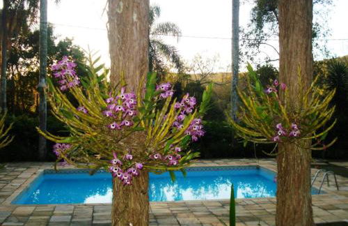 Hotel Fazenda Bandeirantes - Foto 7